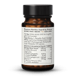 Ginkgo Biloba 100 mg 45:1 extrakt