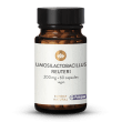 Lactobacillus Reuteri Pylopass