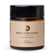 MUSCLE RECOVERY CHLADIV BALZM