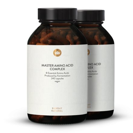 Master Aminosäuren Komplex Vegan