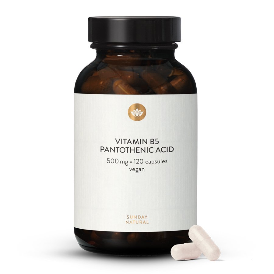 Vitamin B5 kyselina pantothenová 500mg Vitamin B5 kyselina pantothenová 500mg