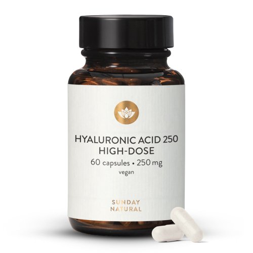Kyselina hyaluronov 250 mg prmiov, vegan, z fermentace