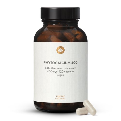 Calcium Natural 400 mg kapsle s vysokou koncentrac