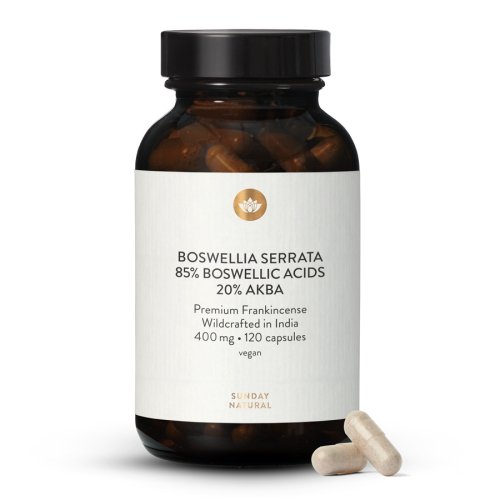 Kadidlov kapsle Boswellia Serrata 85 % + AKBA 20 %