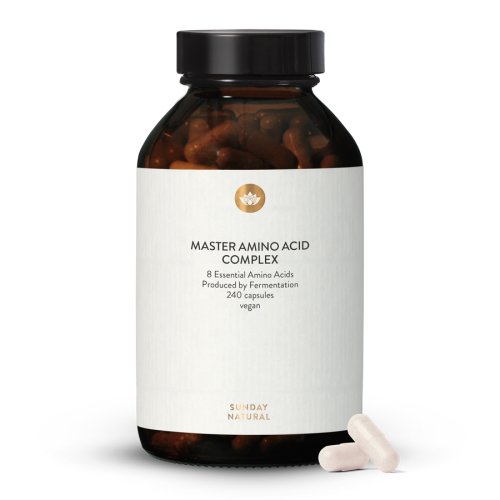 Master Aminosuren Komplex Vegan