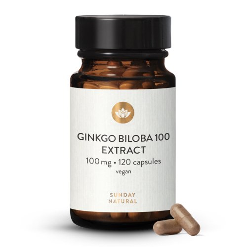 Ginkgo Biloba 100 mg 45:1 extrakt