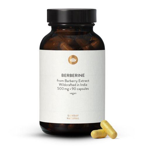 Berberin 500 mg kapsle