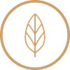 True Clean Label